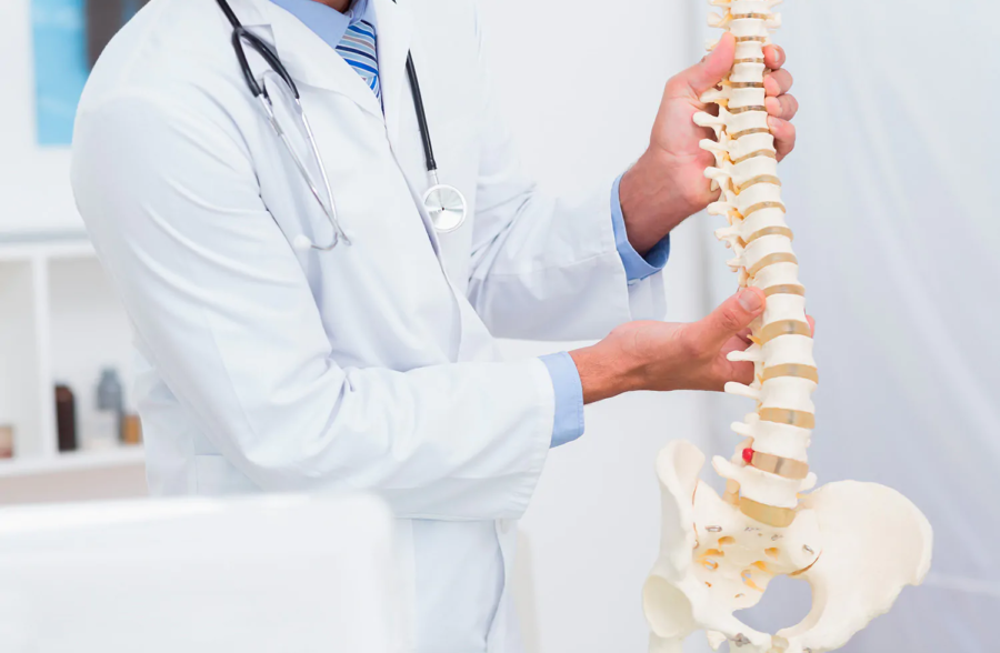 Hiểu Rõ Cấu Trúc Cột Sống: Nền Tảng Của Sức Khỏe Lưng